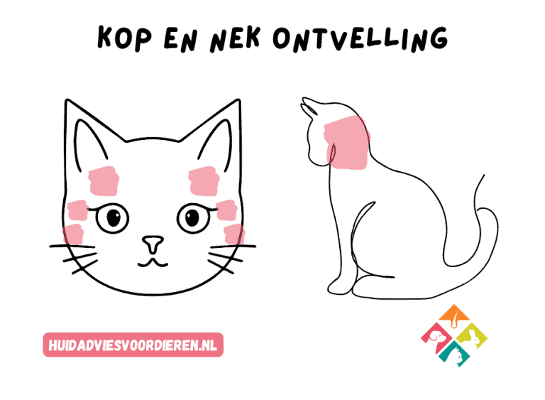 Kop en nek ontvelling - Huidadvies voor Dieren