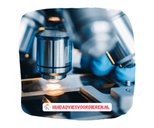Afbeelding van een microscoop voor cytologie en microscopisch onderzoek